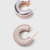 Boucles d’oreilles en strass Boucles d’oreilles en strass