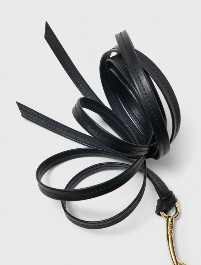 Ceinture taille unique Ceinture taille unique