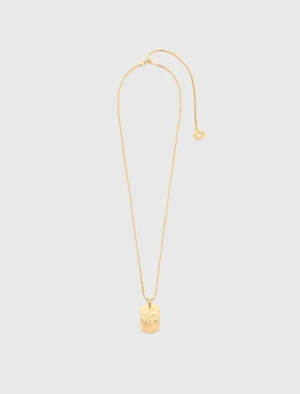 Collier avec plaque représentant le signe du zodiaque