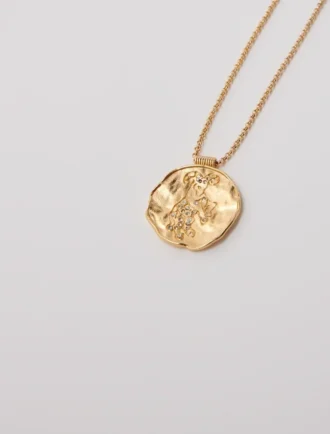 Médaillon du signe du zodiaque