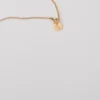 Médaillon du signe du zodiaque